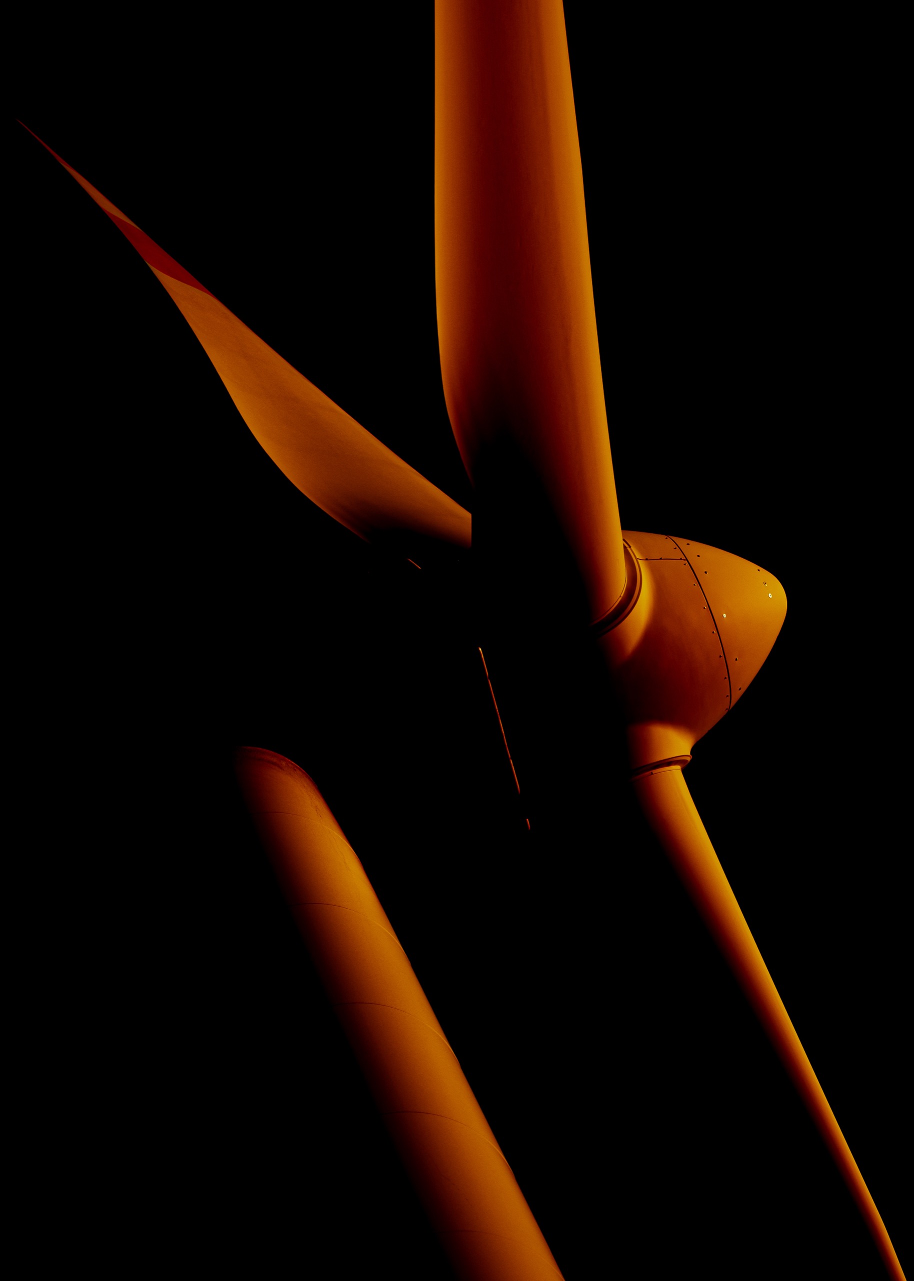 JOURNEY 7 2026 COLLARMELE